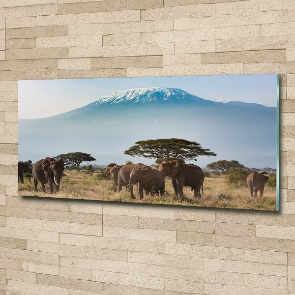 Print on acrylic Kilimanjaro elephants