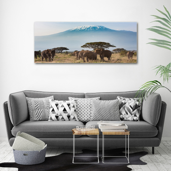 Print on acrylic Kilimanjaro elephants