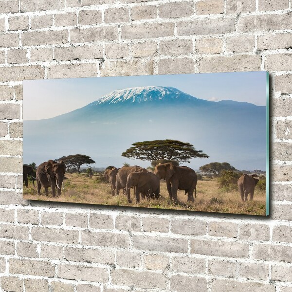 Print on acrylic Kilimanjaro elephants