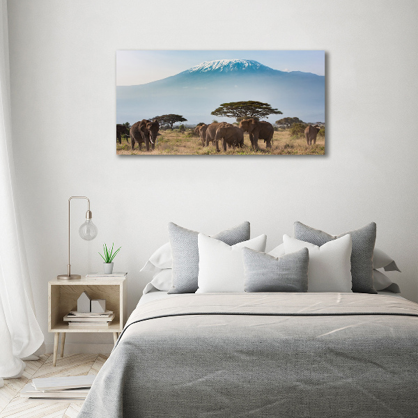 Print on acrylic Kilimanjaro elephants