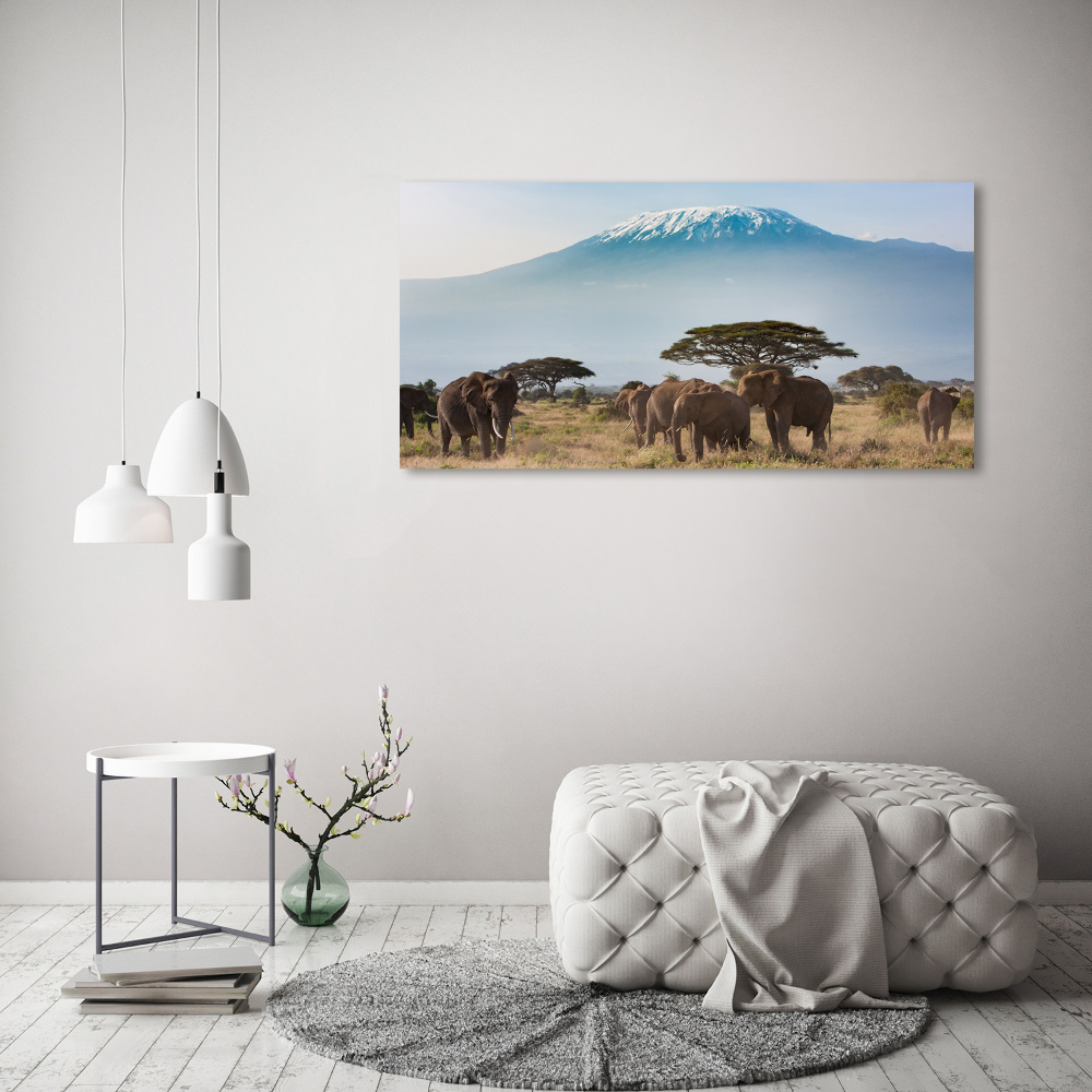 Print on acrylic Kilimanjaro elephants