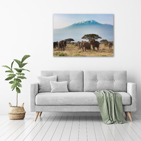 Print on acrylic Kilimanjaro elephants