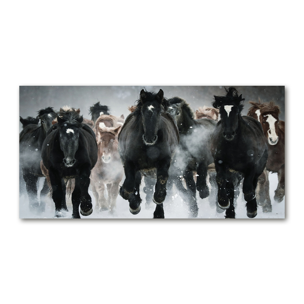 Print on acrylic Horses at gallop