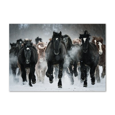 Print on acrylic Horses at gallop