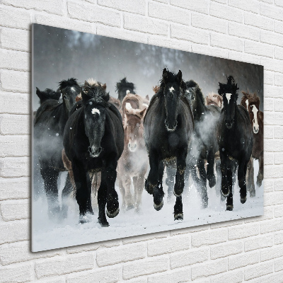 Print on acrylic Horses at gallop