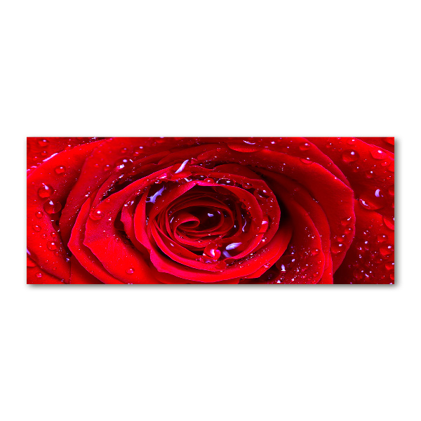 Wall art acrylic Rose flower