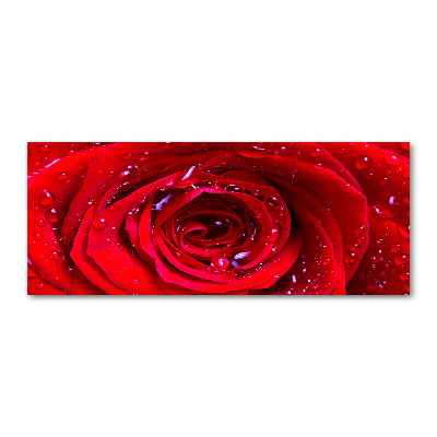 Wall art acrylic Rose flower