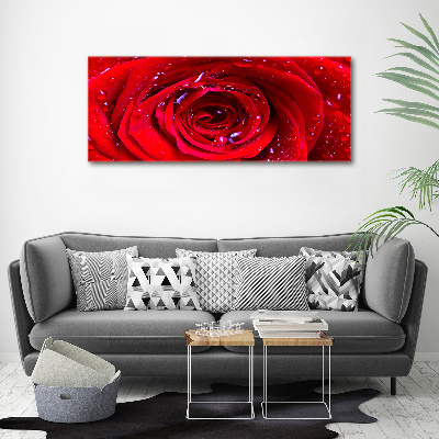 Wall art acrylic Rose flower