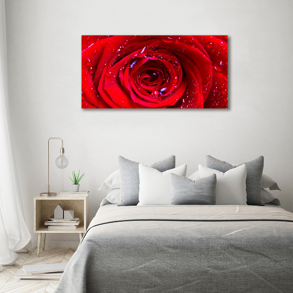 Wall art acrylic Rose flower