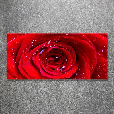 Wall art acrylic Rose flower