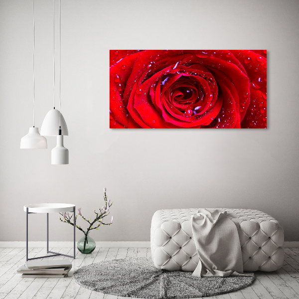 Wall art acrylic Rose flower