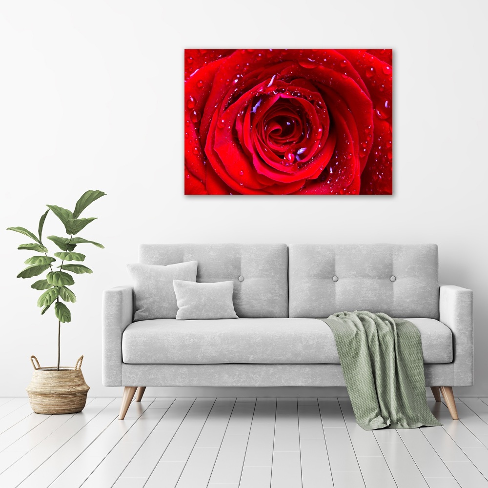 Wall art acrylic Rose flower