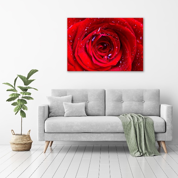 Wall art acrylic Rose flower