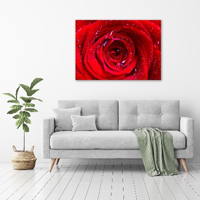 Wall art acrylic Rose flower