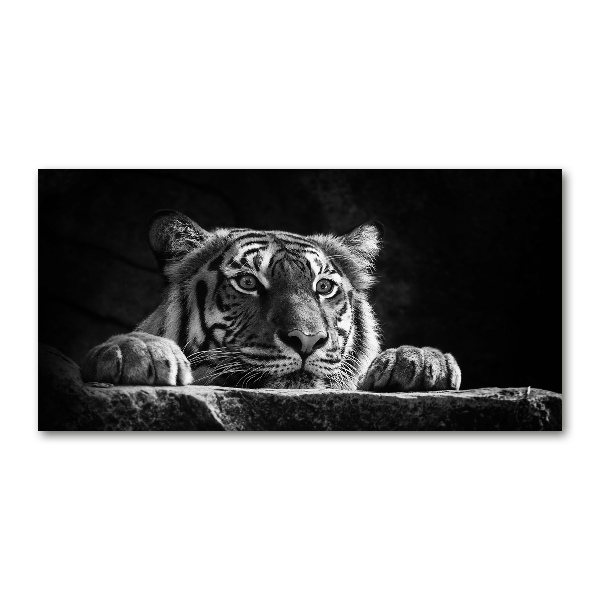 Print on acrylic Tiger