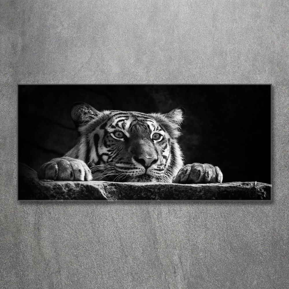 Print on acrylic Tiger