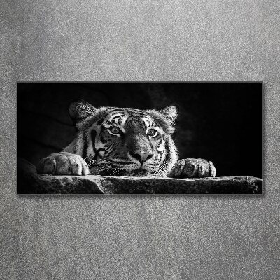 Print on acrylic Tiger