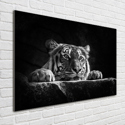 Print on acrylic Tiger