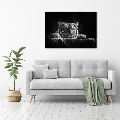 Print on acrylic Tiger