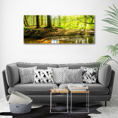 Acrylic print Rays of the sun forest