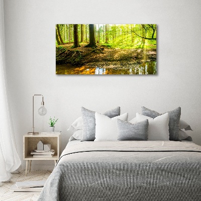 Acrylic print Rays of the sun forest