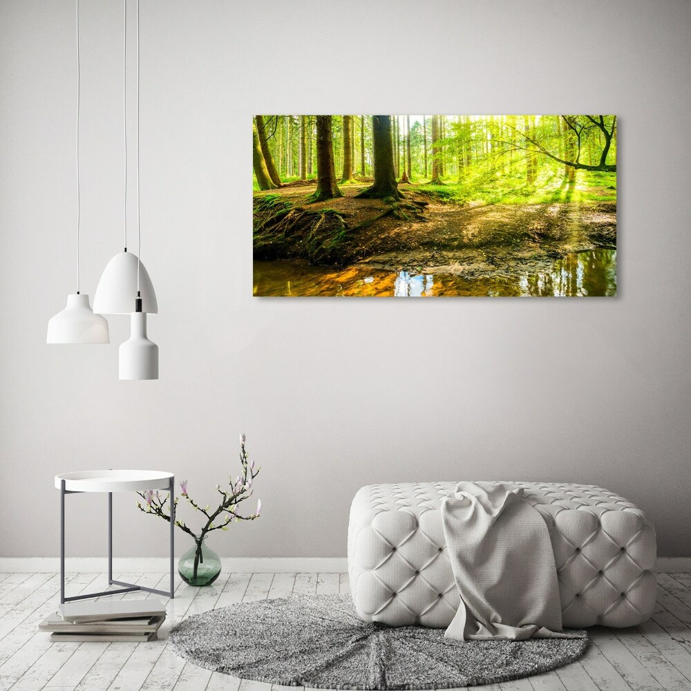 Acrylic print Rays of the sun forest