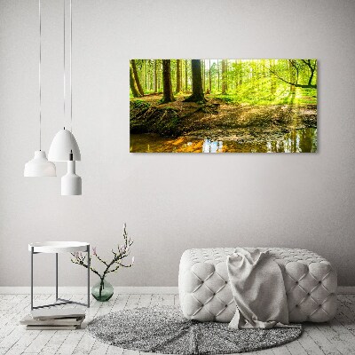 Acrylic print Rays of the sun forest