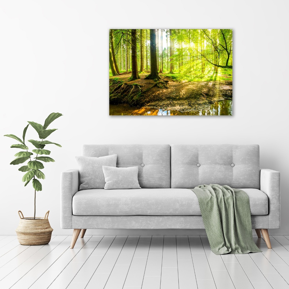 Acrylic print Rays of the sun forest