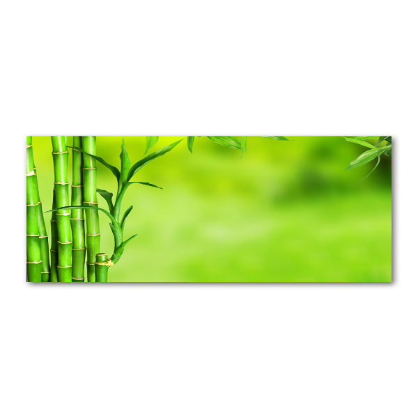 Wall art acrylic Bamboo