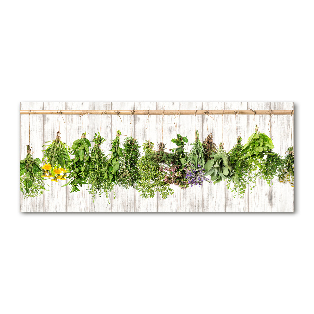 Acrylic wall art Herbs on a string