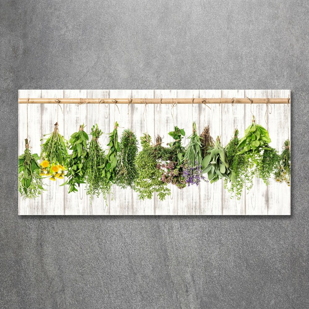 Acrylic wall art Herbs on a string