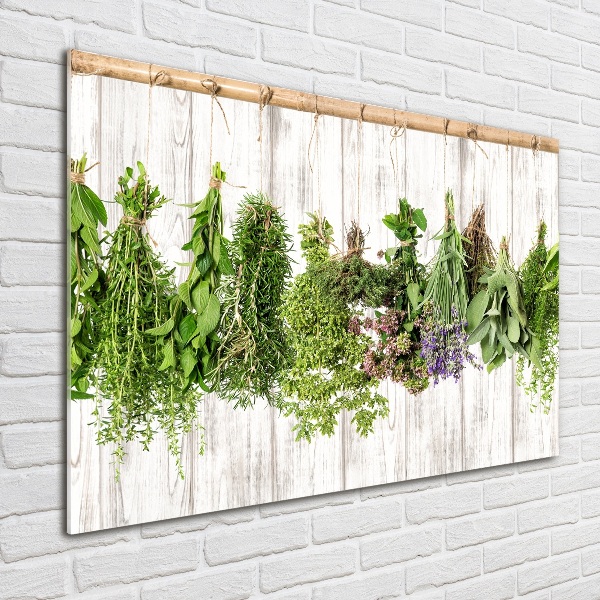 Acrylic wall art Herbs on a string