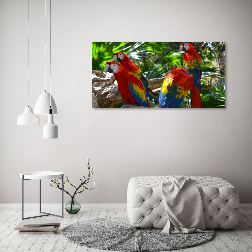 Print on acrylic Ary parrots