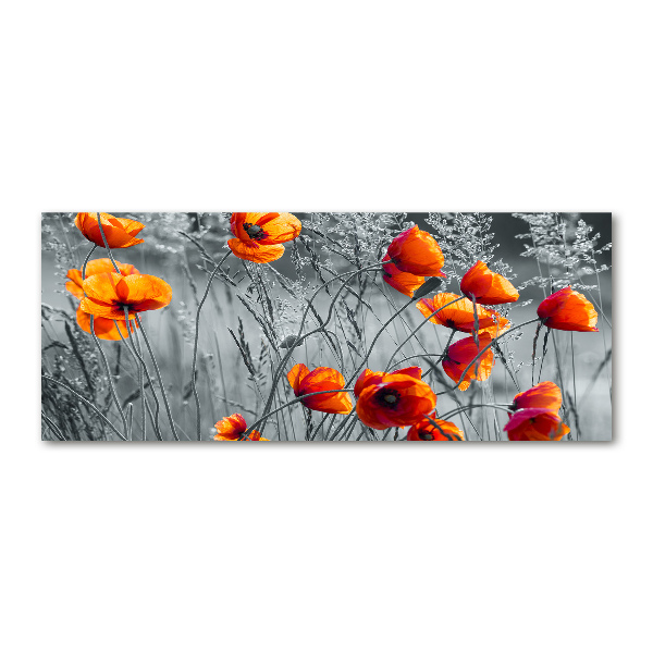 Print on acrylic Field poppies