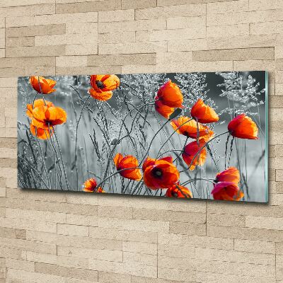 Print on acrylic Field poppies