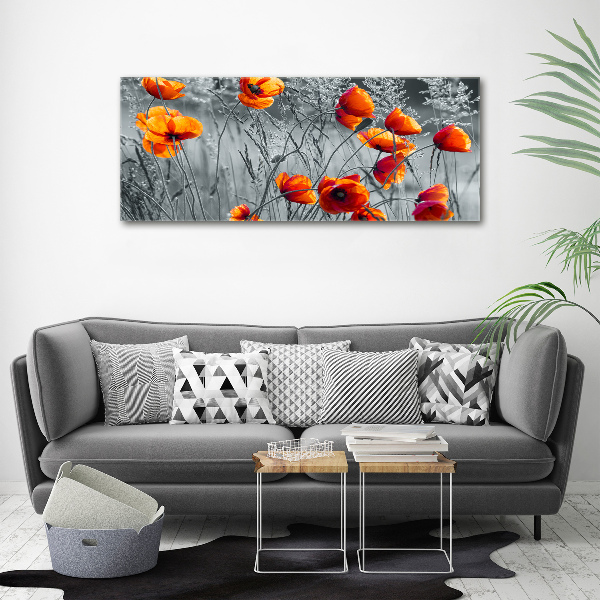 Print on acrylic Field poppies