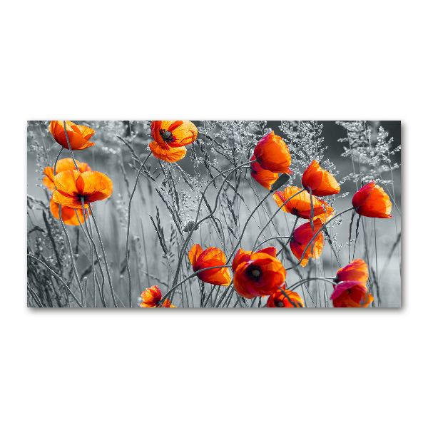 Print on acrylic Field poppies