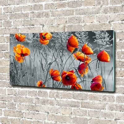 Print on acrylic Field poppies