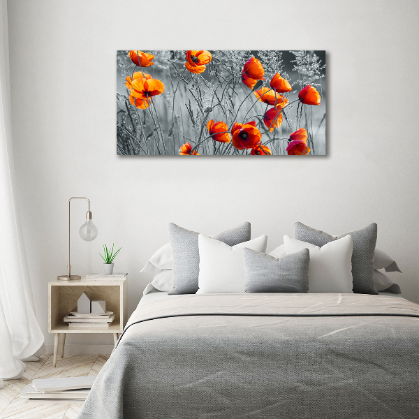 Print on acrylic Field poppies