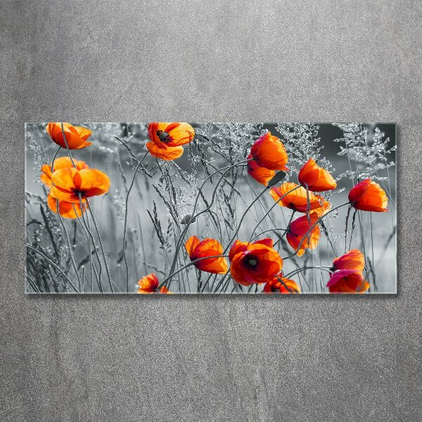 Print on acrylic Field poppies