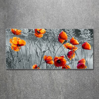 Print on acrylic Field poppies