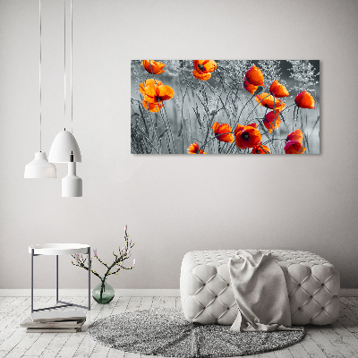 Print on acrylic Field poppies