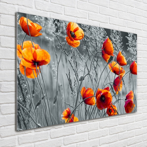 Print on acrylic Field poppies