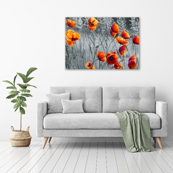 Print on acrylic Field poppies