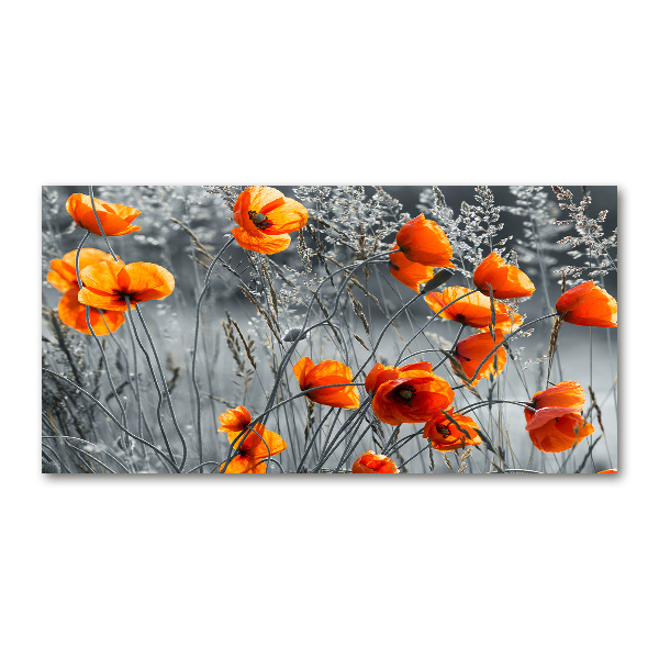 Print on acrylic Field poppies