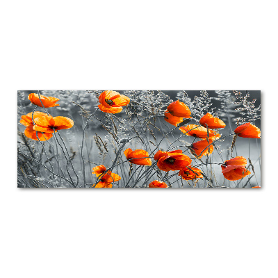 Print on acrylic Field poppies