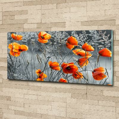 Print on acrylic Field poppies