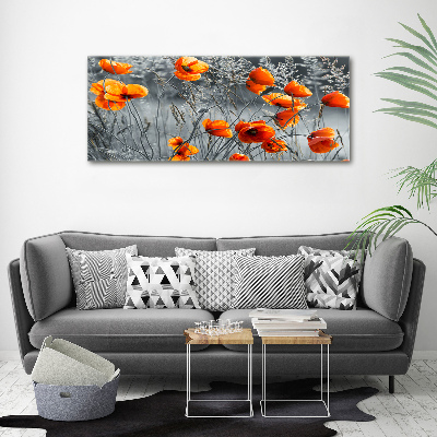 Print on acrylic Field poppies