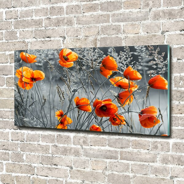 Print on acrylic Field poppies