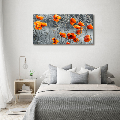 Print on acrylic Field poppies